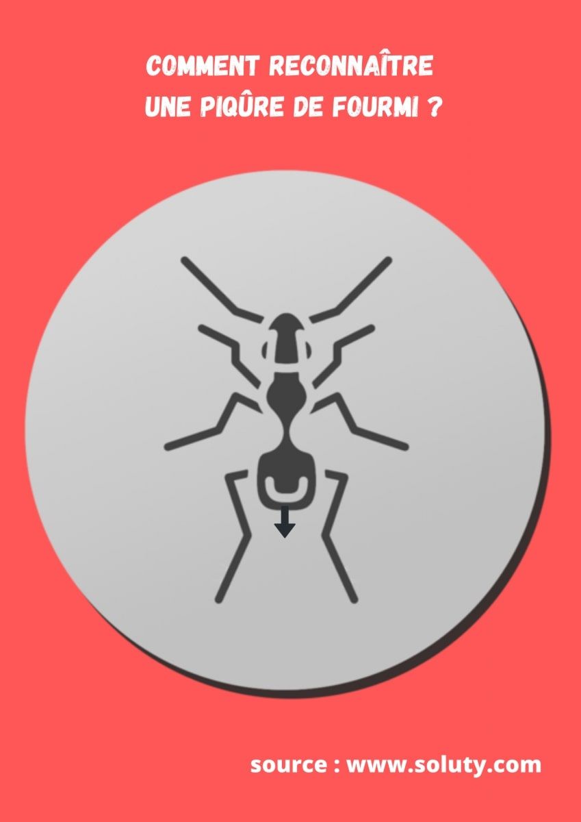 dessin avec fourmi et question Comment reconnaître une piqûre de fourmi ?