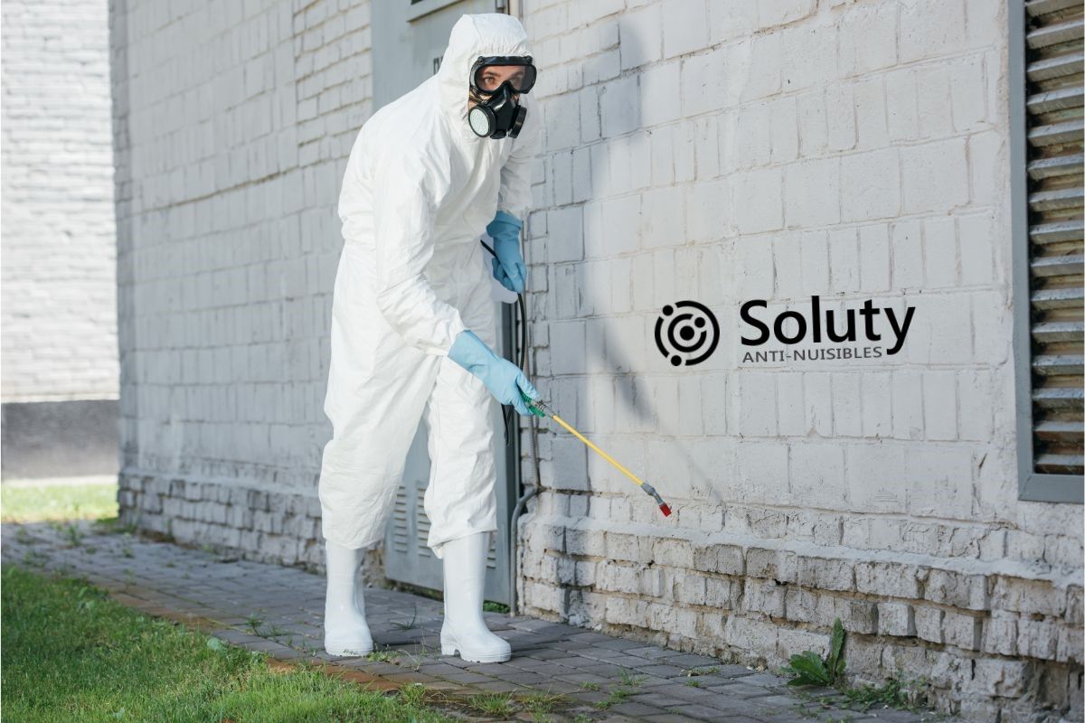 désinsectisation à Neuilly-sur-Seine