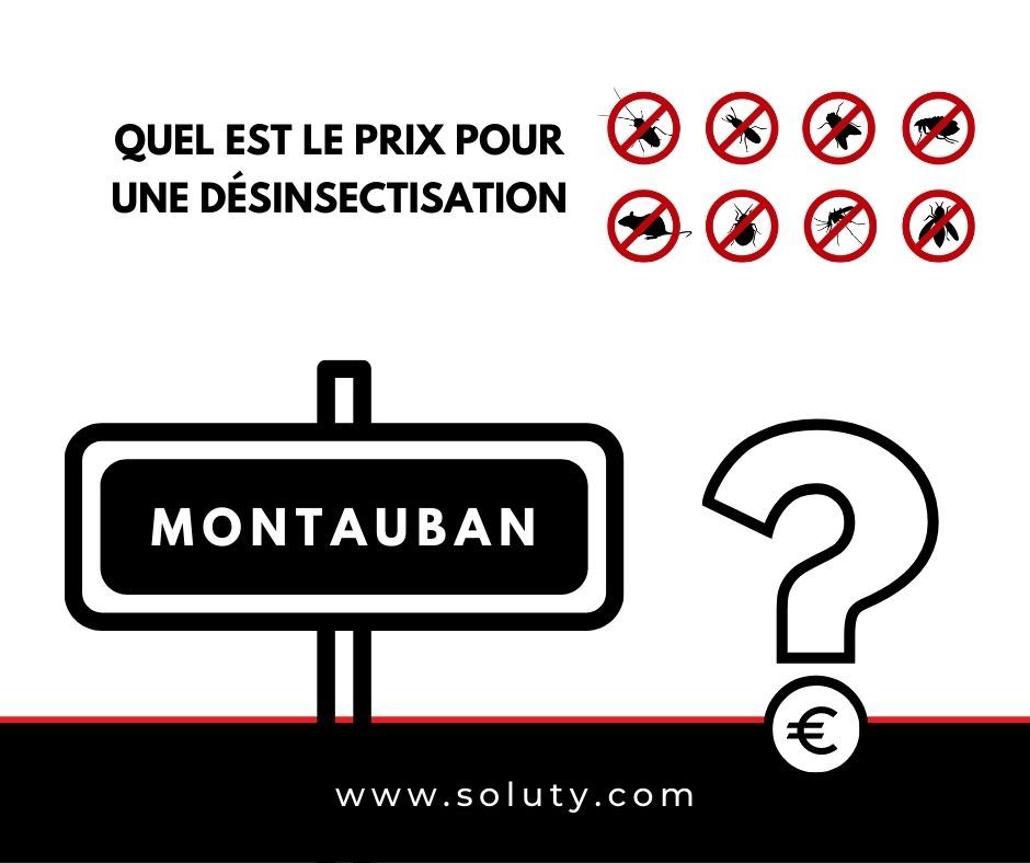 quel est le prix pour la désinsectisation ?