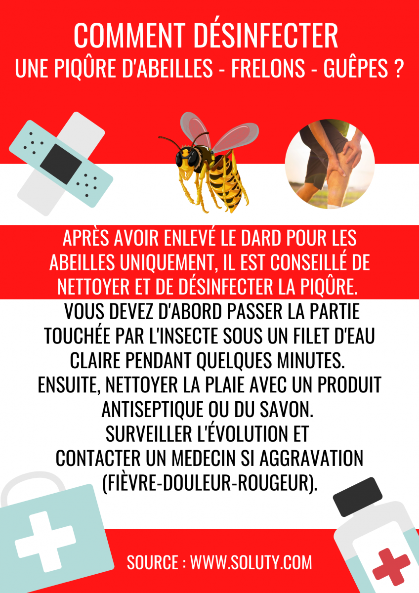 comment soigner une piqûre de frelons ou d'abeilles