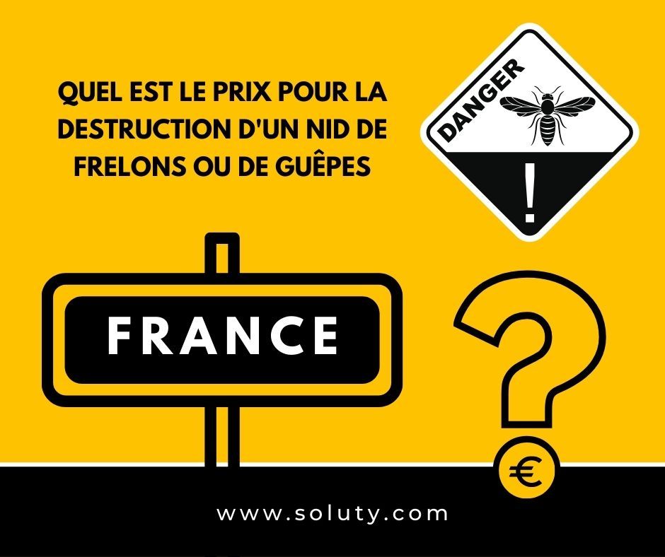 Quel est le tarif pour détruire un nid de guêpes ou un nid de frelons ?