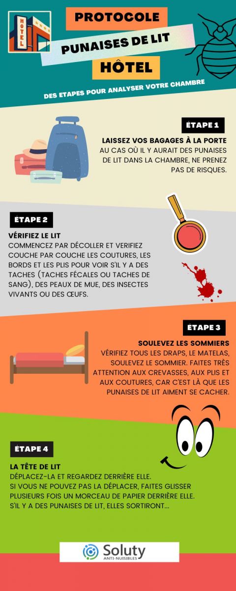 infographie sur des Conseils de prévention contre les punaises de lit aux voyageurs