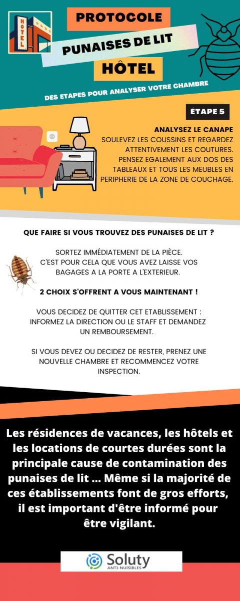 infographie sur des Conseils de prévention contre les punaises de lit aux voyageurs