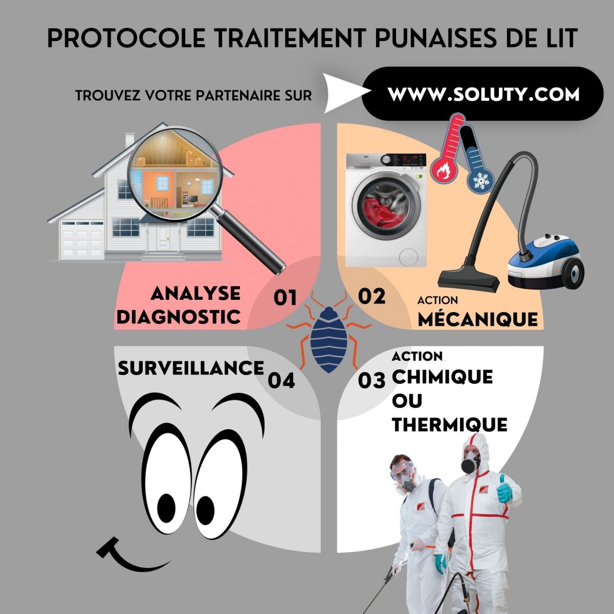 Protocole traitement punaises de lit 