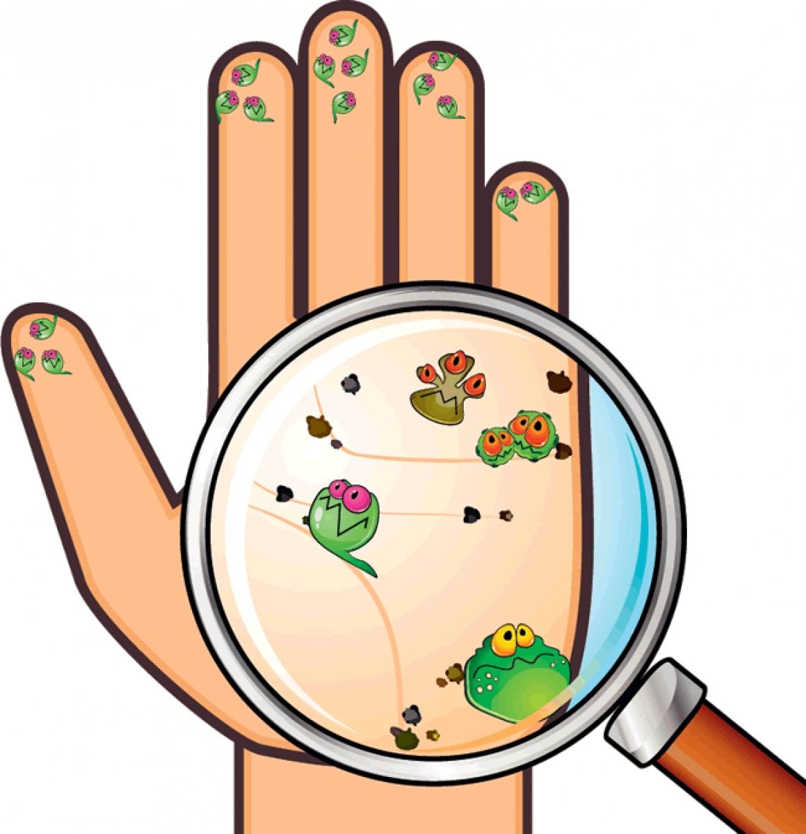 main souillée par des germes pathogènes