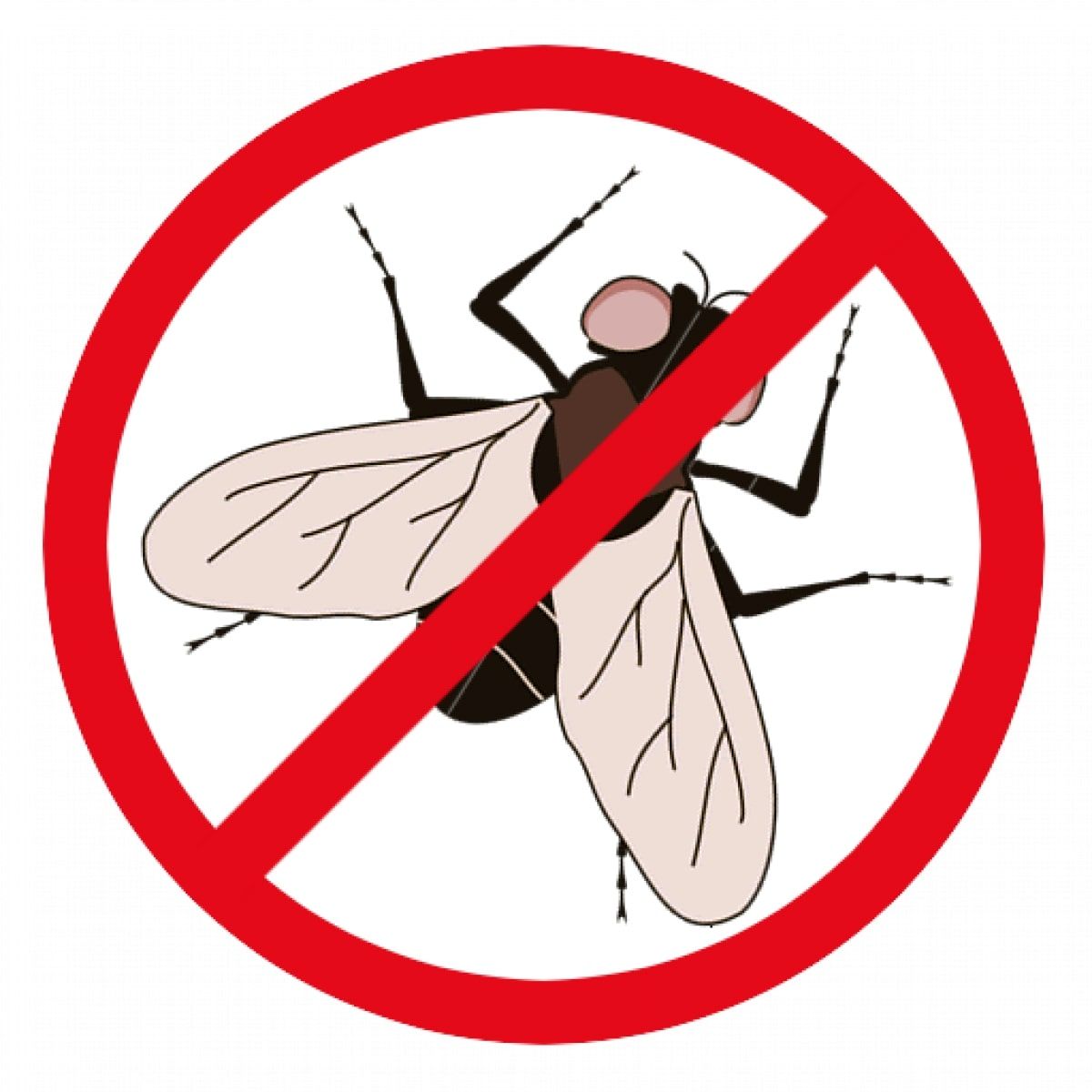 Conseils de professionnels pour éviter les mouches - SOLUTY