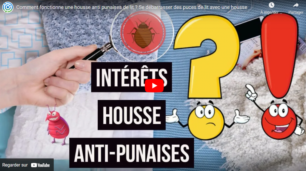 Housse antipunaises de lit Efficacité, avantages... SOLUTY