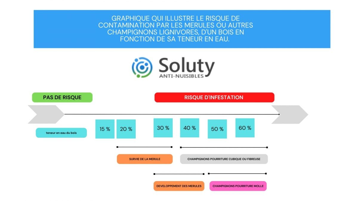 GRAPHIQUE QUI ILLUSTRE LE RISQUE DE CONTAMINATION PAR LES MERULES OU AUTRES CHAMPIGNONS LIGNIVORES  D'UN BOIS EN FONCTION DE SA TENEUR EN EAU.