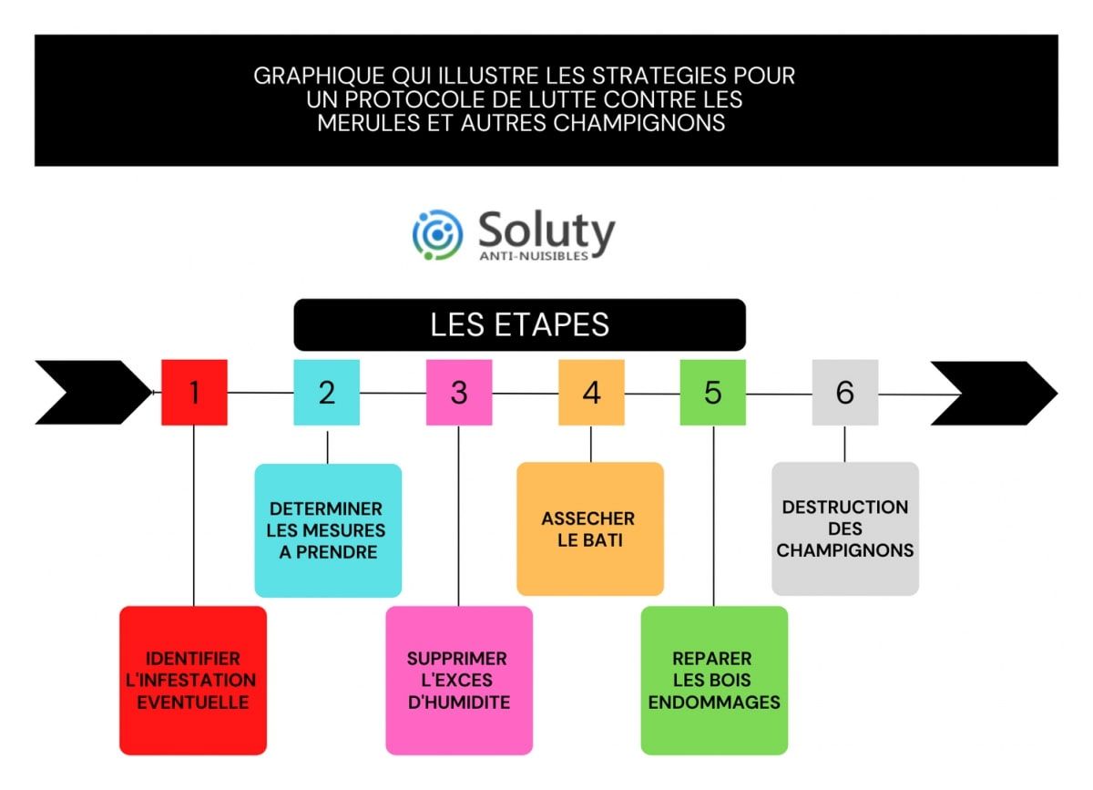 GRAPHIQUE QUI ILLUSTRE LES STRATEGIES POUR UN PROTOCOLE DE LUTTE CONTRE LES MERULES ET AUTRES CHAMPIGNONS 