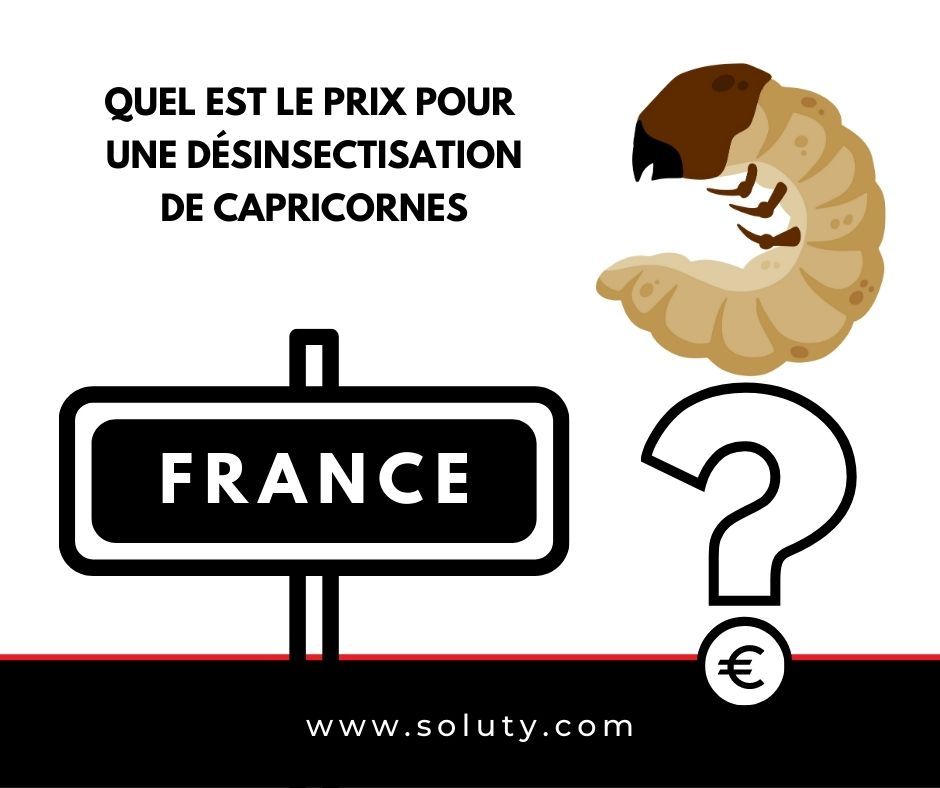 Quel est le prix demandé par  nos entreprises partenaires pour vous débarrasser rapidement et de manière définitive d’une invasion du capricorne de maison et la larve XYLOPHAGE ?