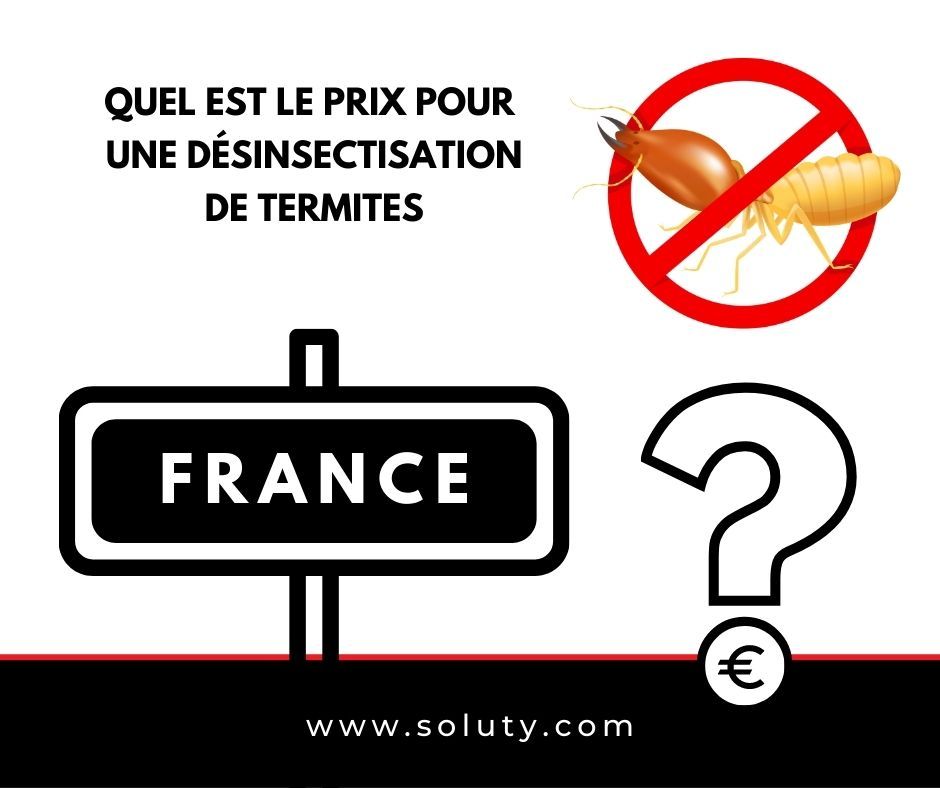 Quel est le prix pour éradiquer une invasion de termites du bois avec nos entreprises partenaires agréées dans le traitement des insectes xylophages ?