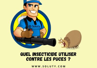 Quel insecticide utiliser contre les puces 2 1200x