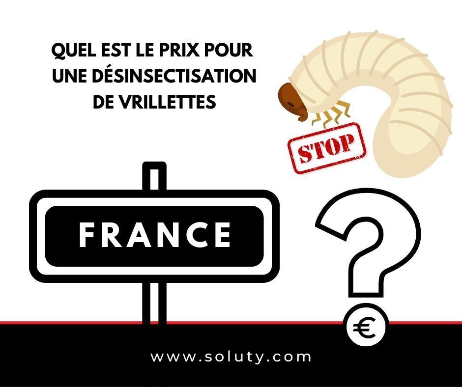 Quel est le tarif pour réaliser un traitement contre la vrillette du bois et la larve avec nos entreprises partenaires ?