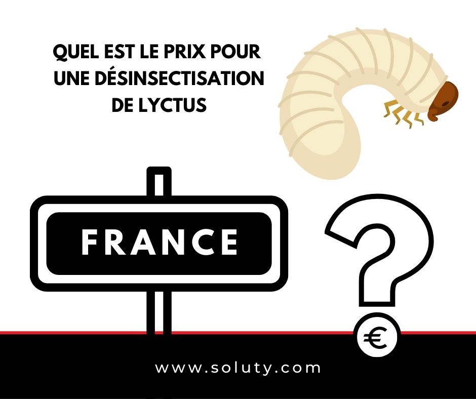 Quel est le tarif de d'une entreprises partenaire de traitement contre le lyctus et la larve pour éradiquer une invasion ?