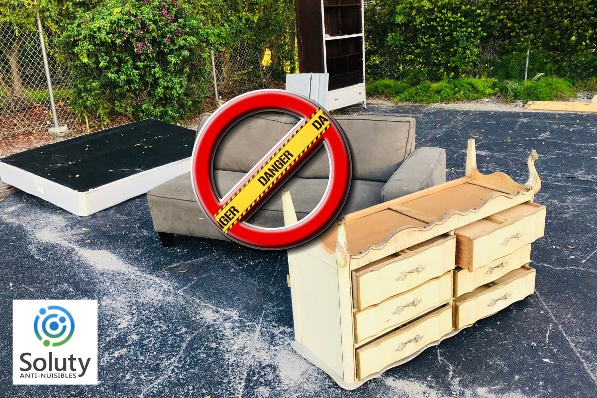 Fautil jeter le mobilier infesté par les punaises de lit ? SOLUTY