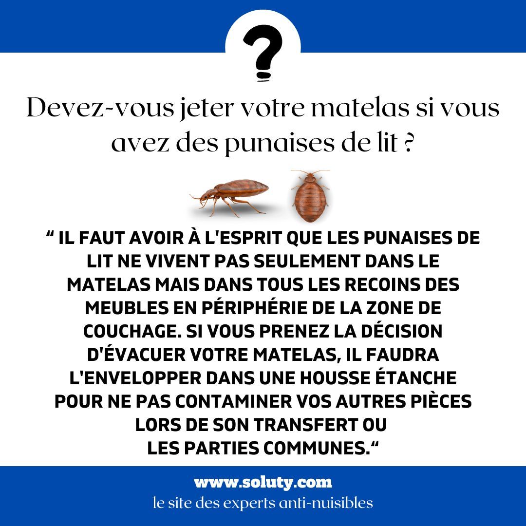 Devez-vous jeter votre matelas si vous avez des punaises de lit ?