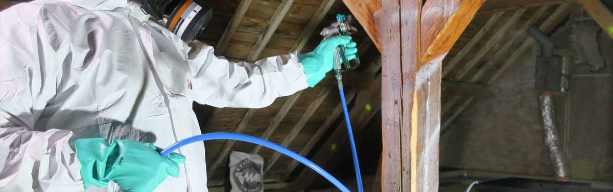 technicien avec des epi qui traitement une charpente en pulvérisation pour protéger le bois