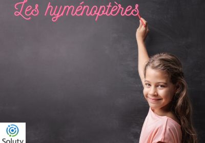 Les hymenopteres