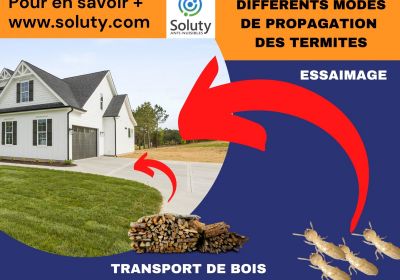 Les differents modes de propagation des termites 1200x