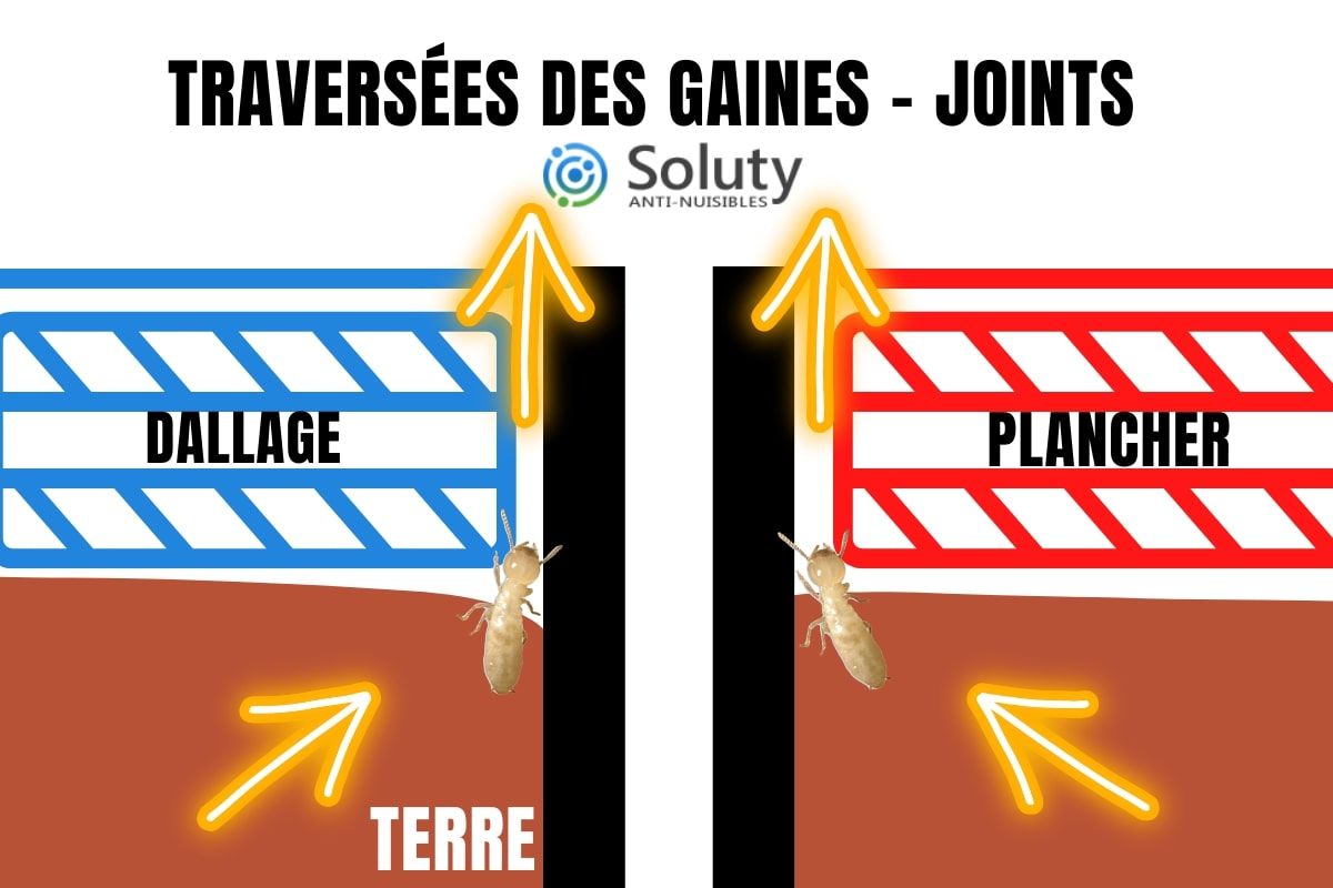 dessin sur les traversées des gaines des termites dans la construction