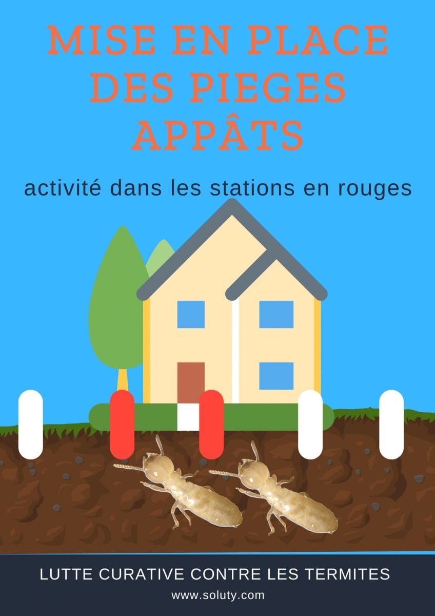 dessin maison et stations anti-termites