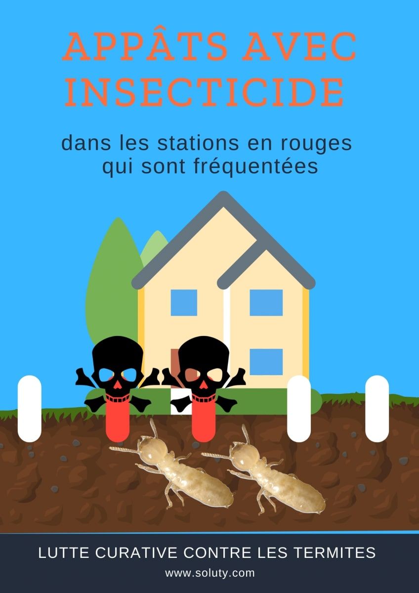 dessin maison et stations anti-termites