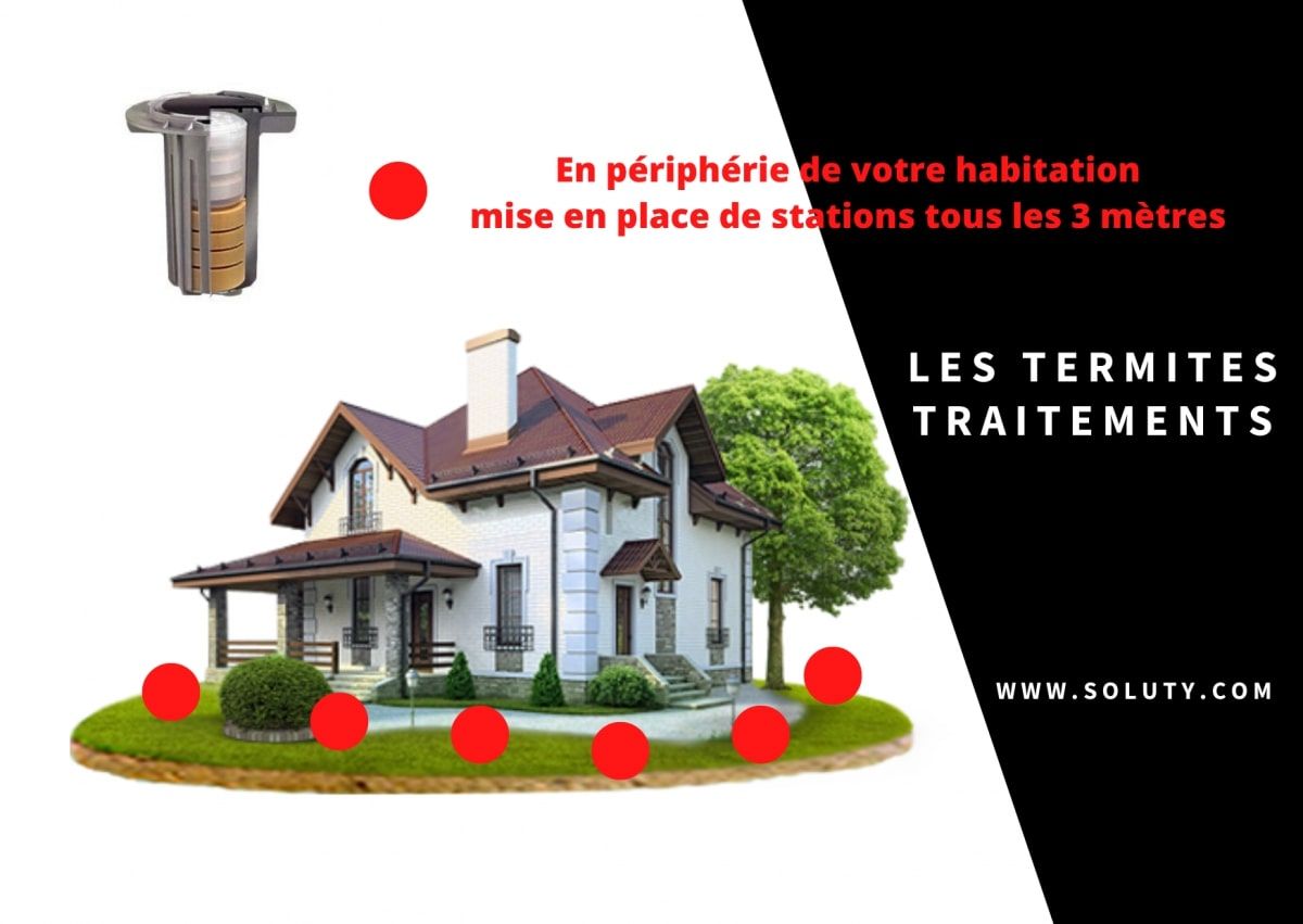 dessin maison et stations anti-termites