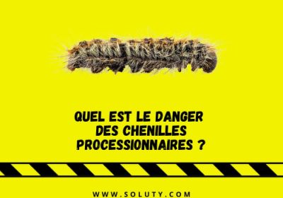 Quel est le danger des chenilles processionnaires 1200x