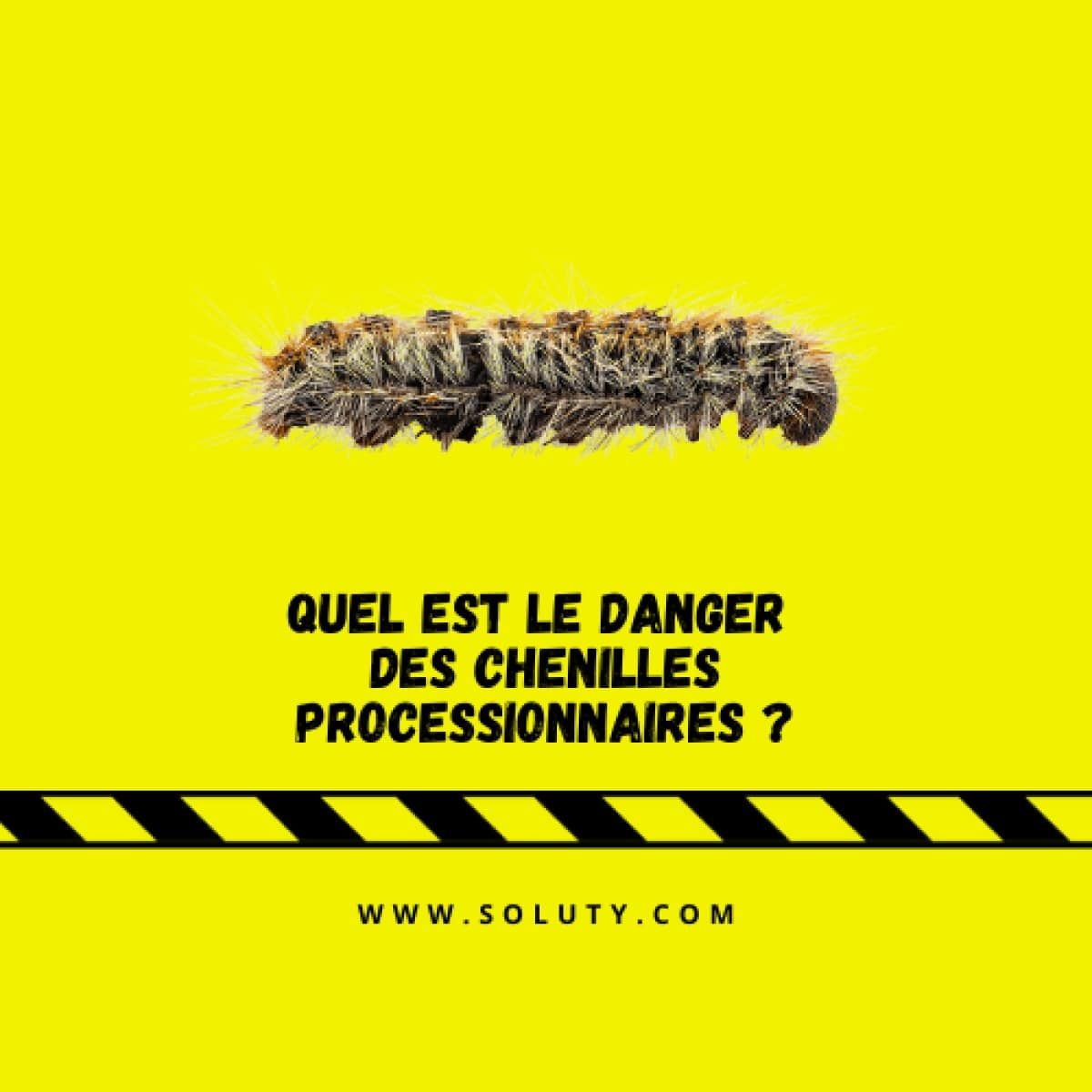 chenilles processionnaires et dangers