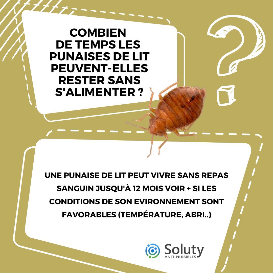 combien  de temps les  punaises de lit peuvent-elles rester sans s'alimenter ?