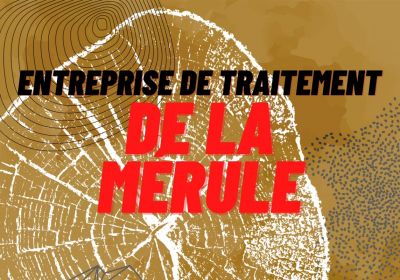 Entreprise de traitement de la merule