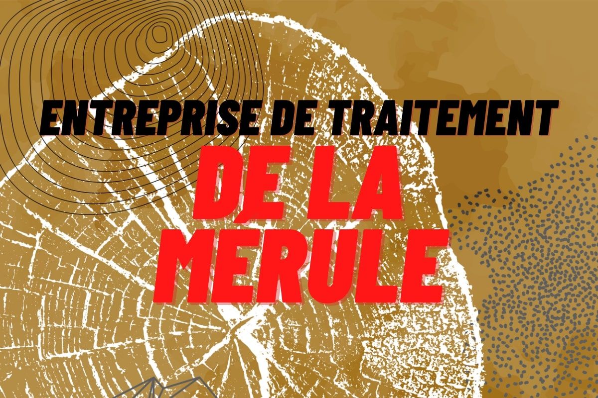 Entreprise de traitement de la mérule