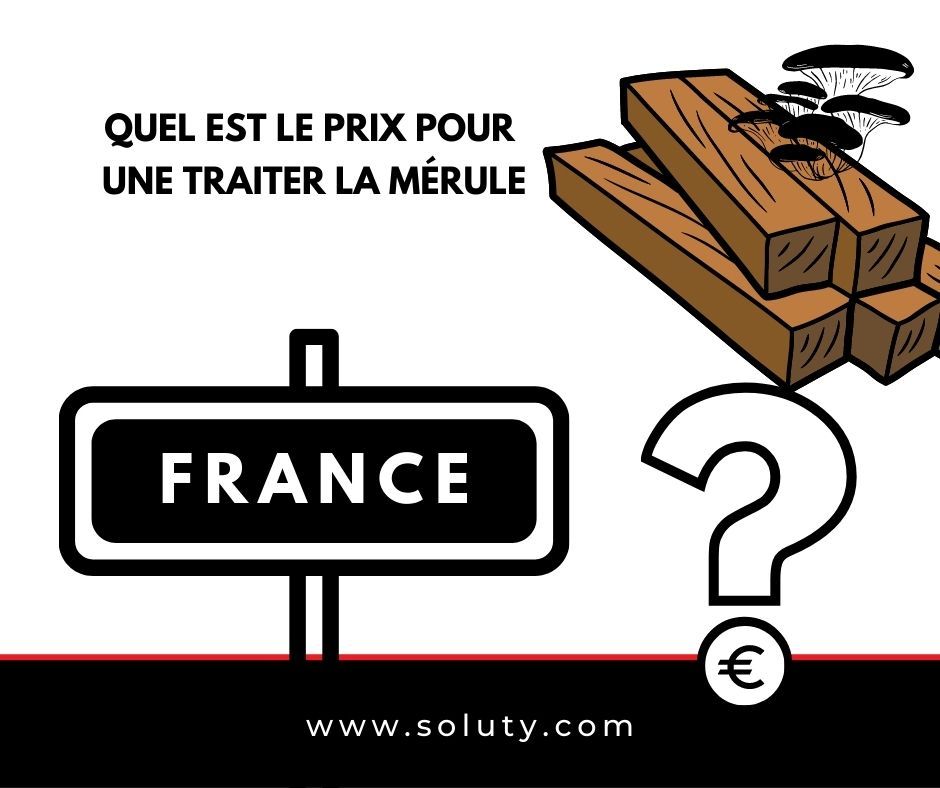 Quel est le coût pour traiter une contamination de mérule dans votre maison ?