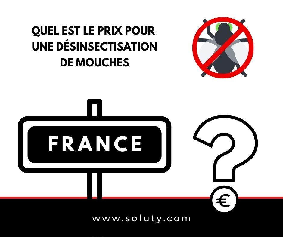 Quel est le prix d'une désinsectisation pour arrêter une invasion de mouches ?