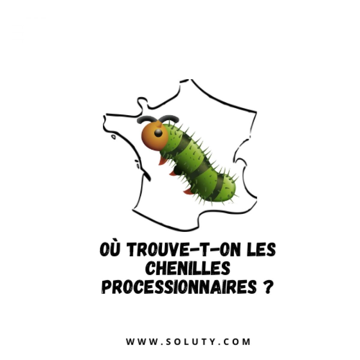 dessin de la France avec une chenille processionnaire