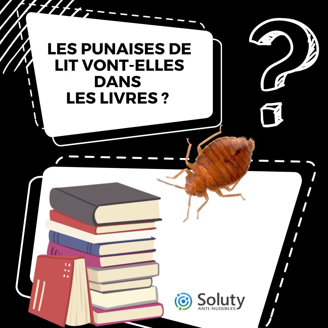 Les punaises de lit vont-elles dans les livres ?