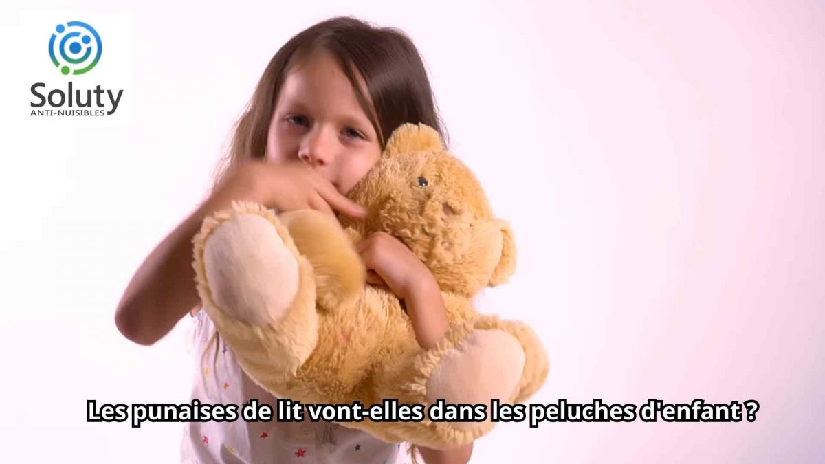 Les punaises de lit vont-elles dans les peluches d'enfant ?