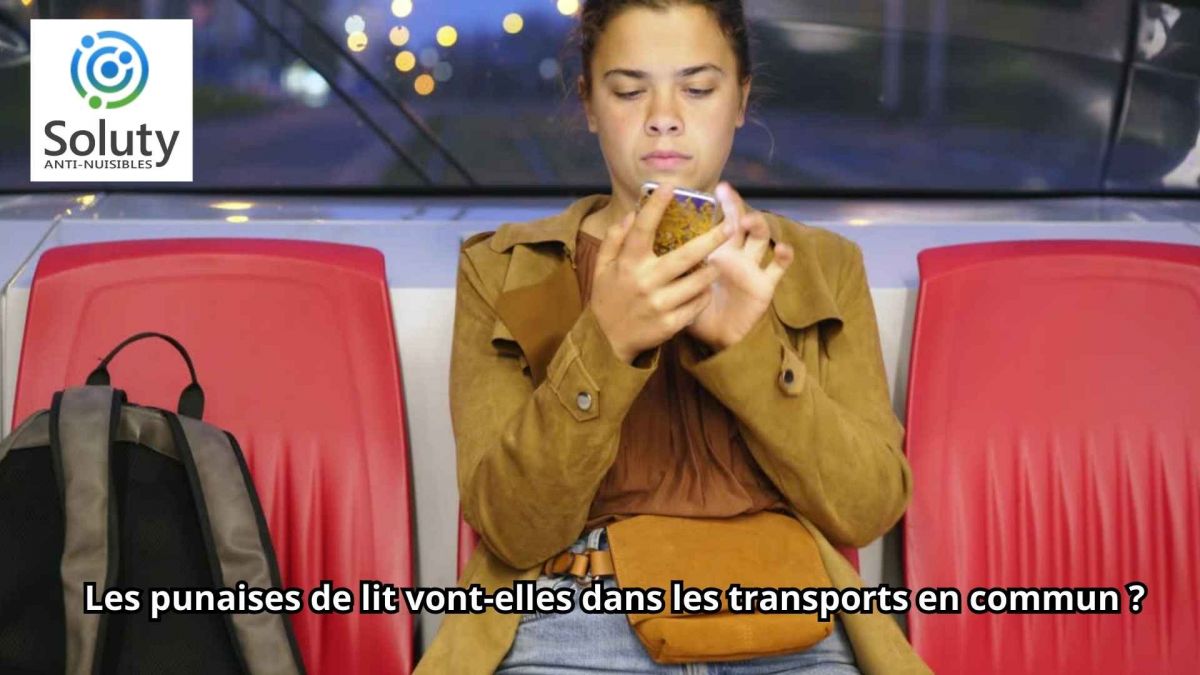 Les punaises de lit vont-elles dans les transports en commun ?