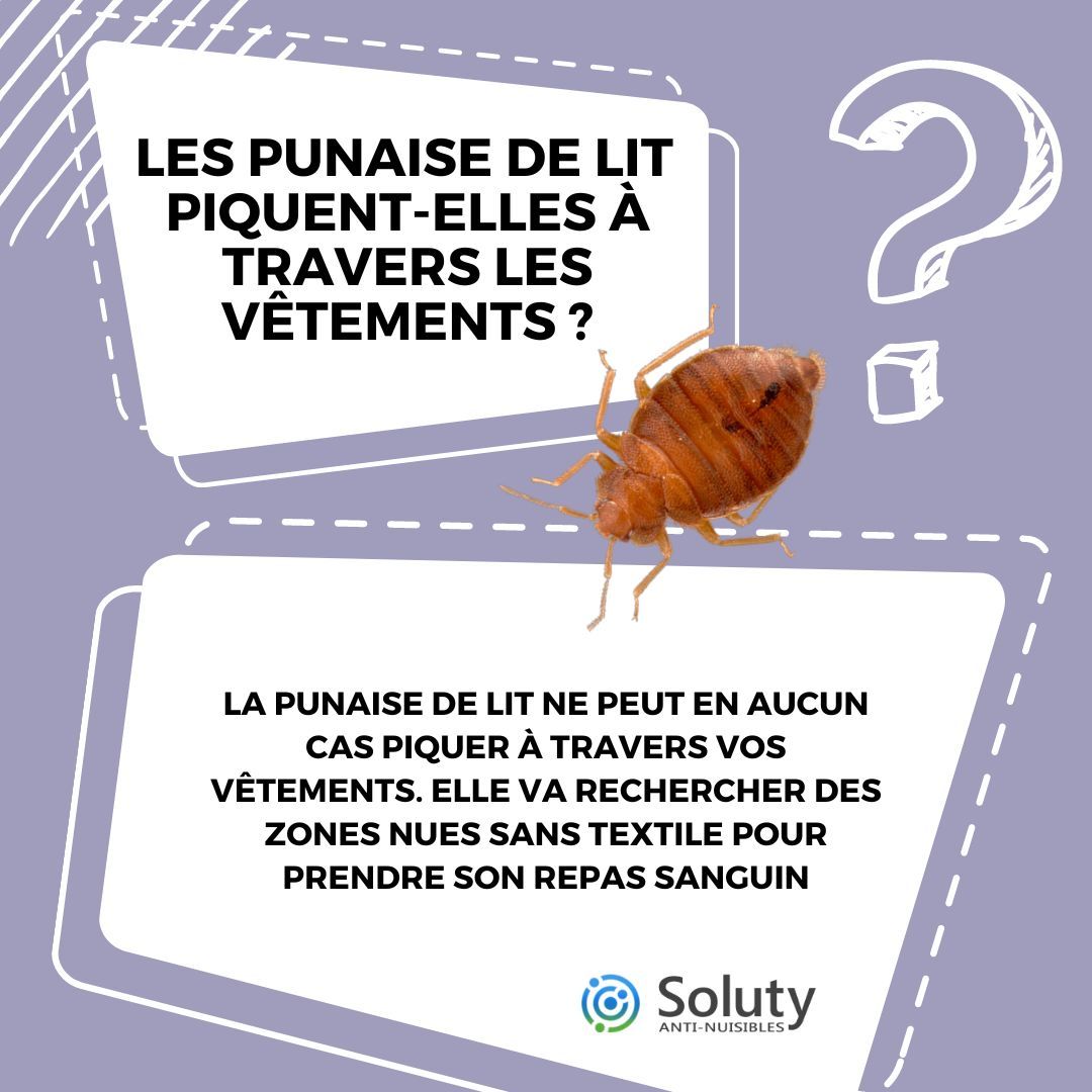 les punaises de lit piquent elles à travers les vêtements ? 