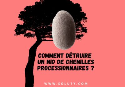 Comment detruire un nid de chenilles processionnaires 1200x