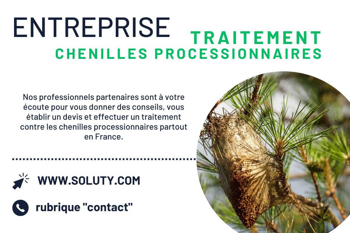 Entreprise de destruction des chenilles processionnaires