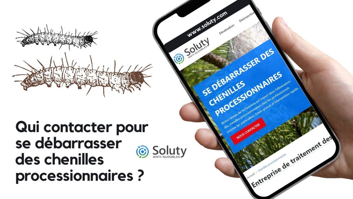 Chenilles processionnaires : qui appeler pour se débarrasser de ces animaux urticants ? 