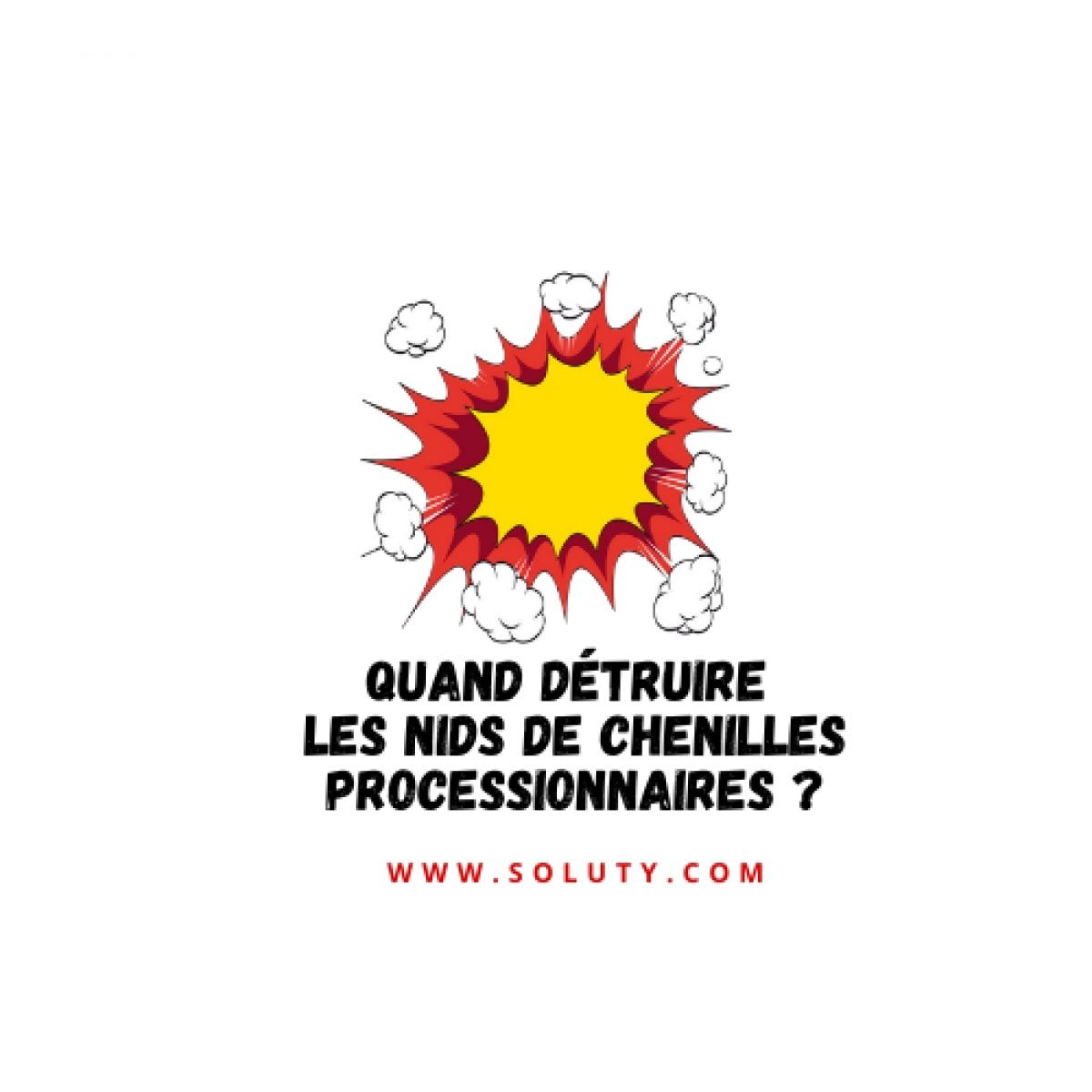 dessin avec explosion et question : Quand détruire les nids de chenilles processionnaires ?