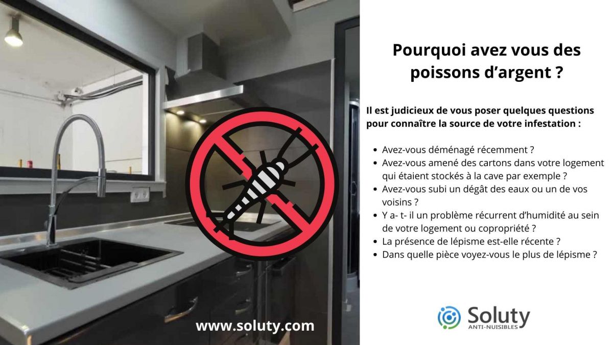 Pourquoi avez vous des poissons d’argent ?