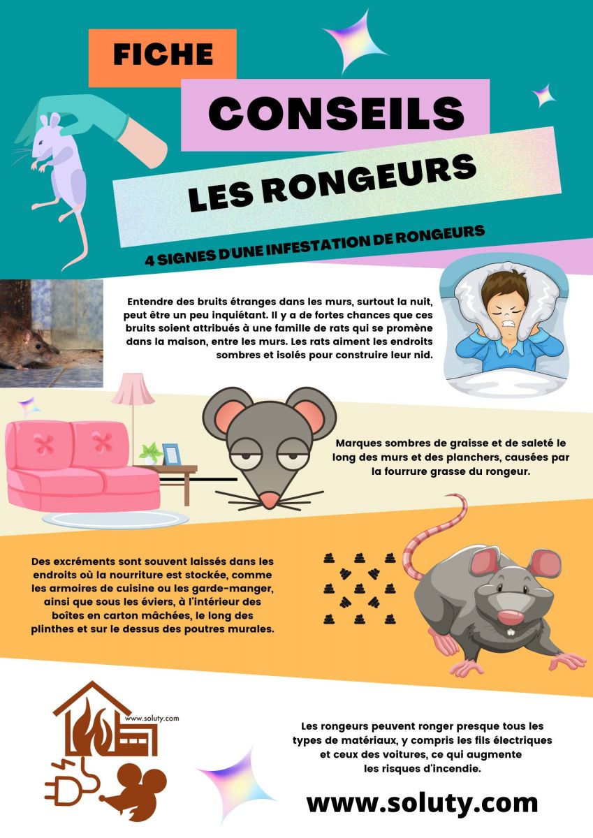 Quels sont les signes d'une infestation de rongeurs chez vous ?