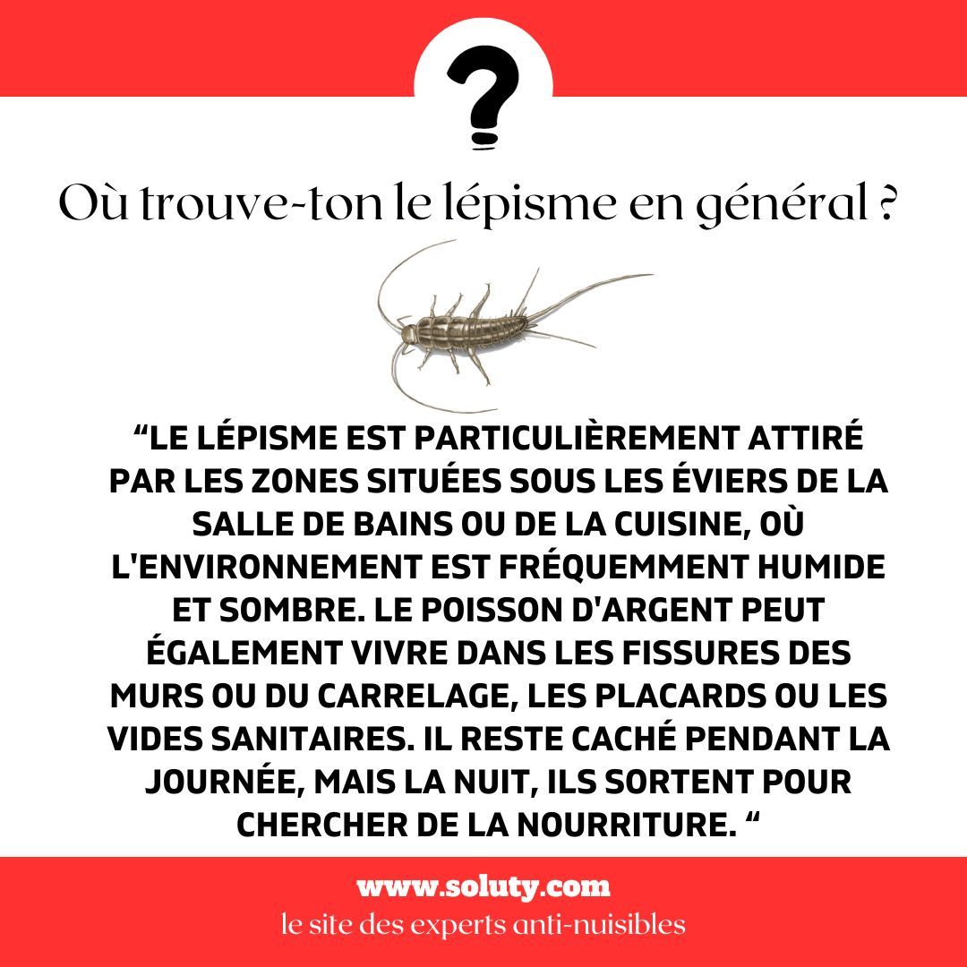 Où trouve-ton le lépisme en général ? 