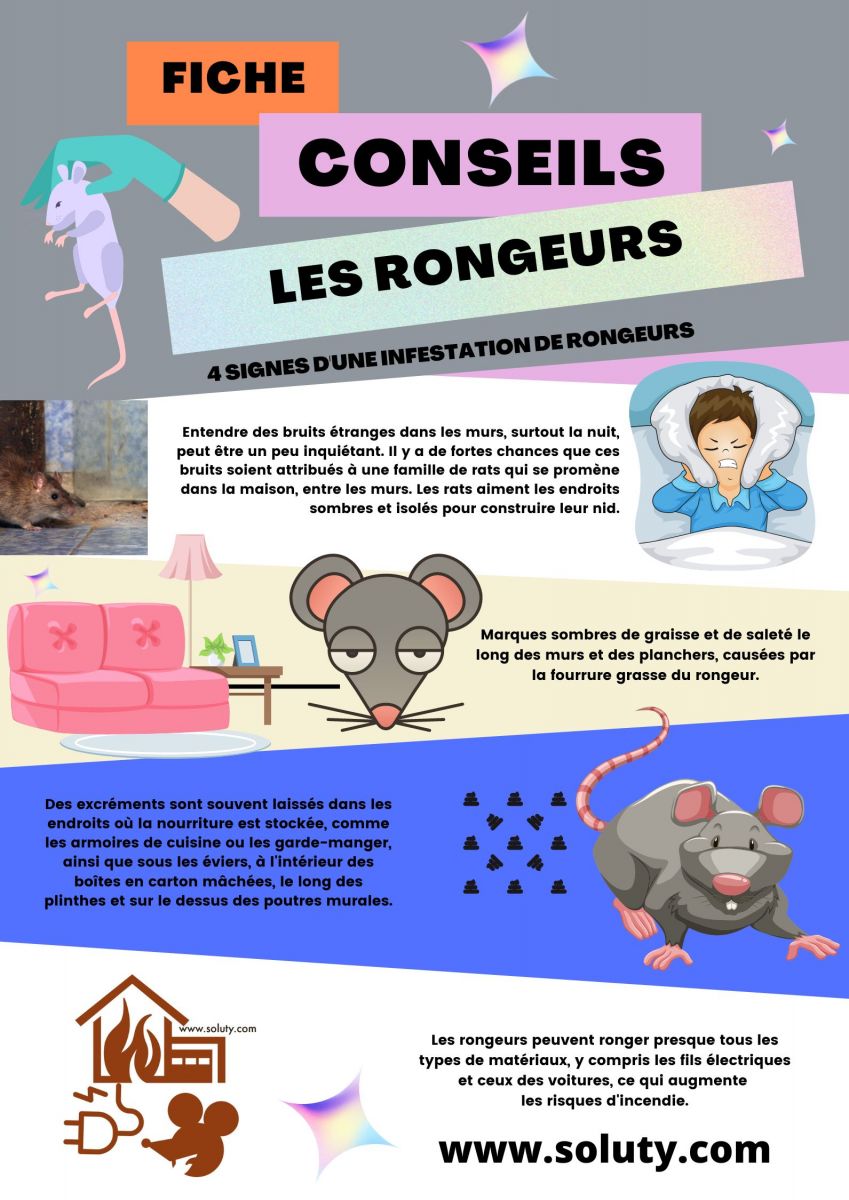 Quels sont les signes d'une infestation de rongeurs chez vous ?