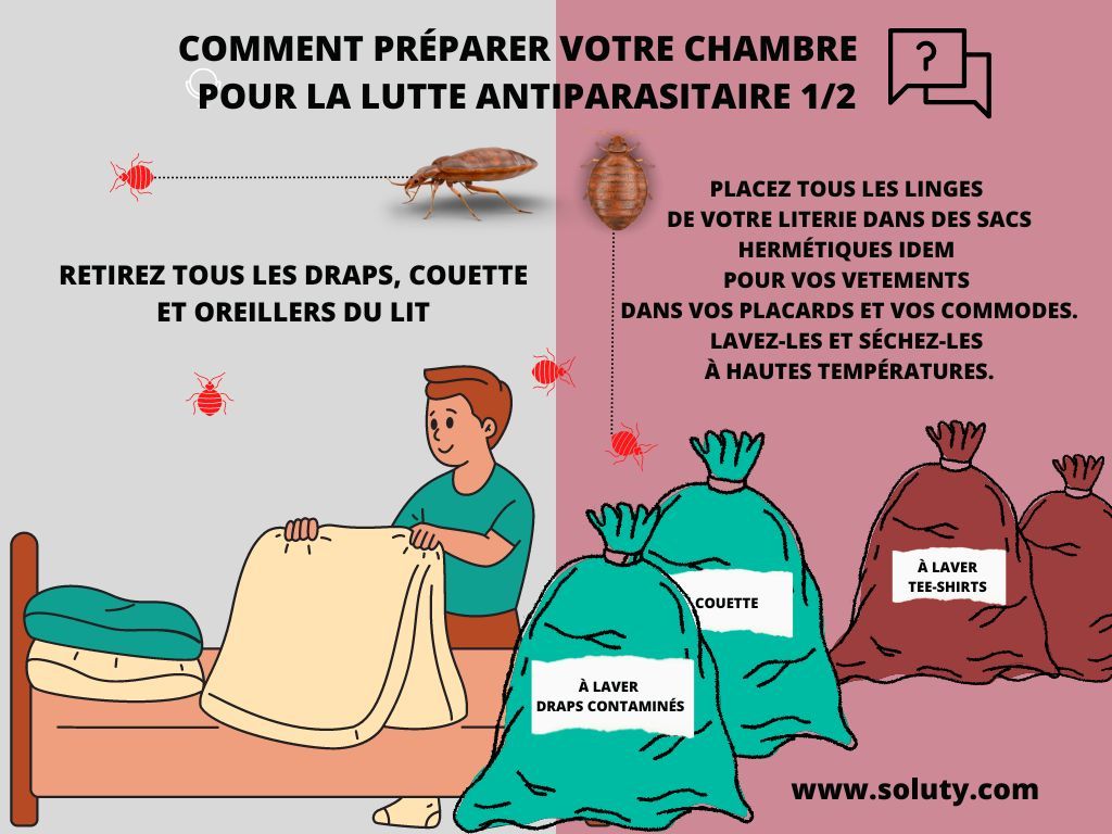 Conseils pour protocole avant désinsectisation punaises de lit dans une chambre 