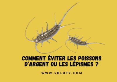 Comment eviter les poissons dargent ou les lepismes 1200x