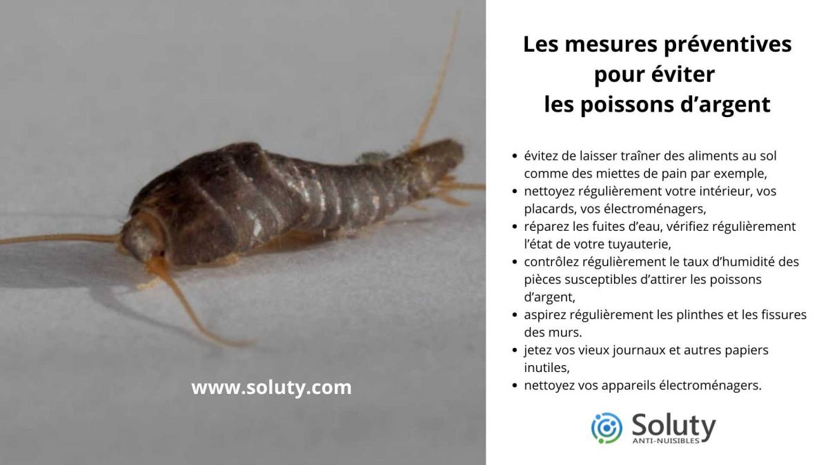 Les mesures préventives pour éviter les poissons d’argent